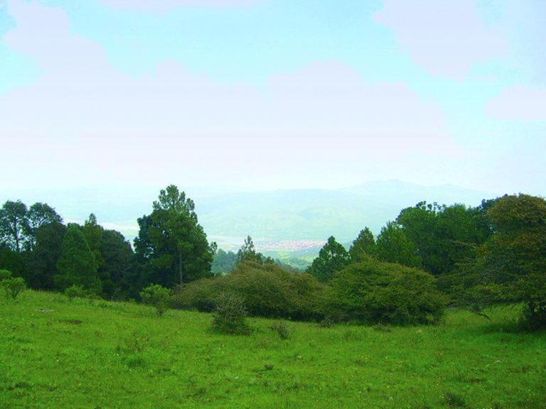 MZT088 – Sierra del Tigre