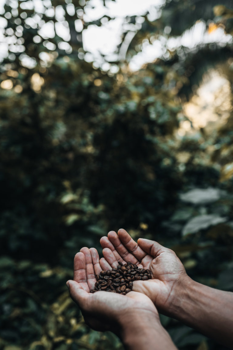 Pueblo del Sol | Oaxaca