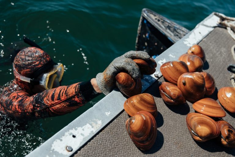 Playa-el-coyote-mexico