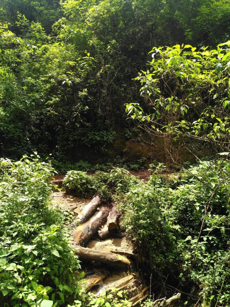 San-Sebastián-Río-Hondo-mexico