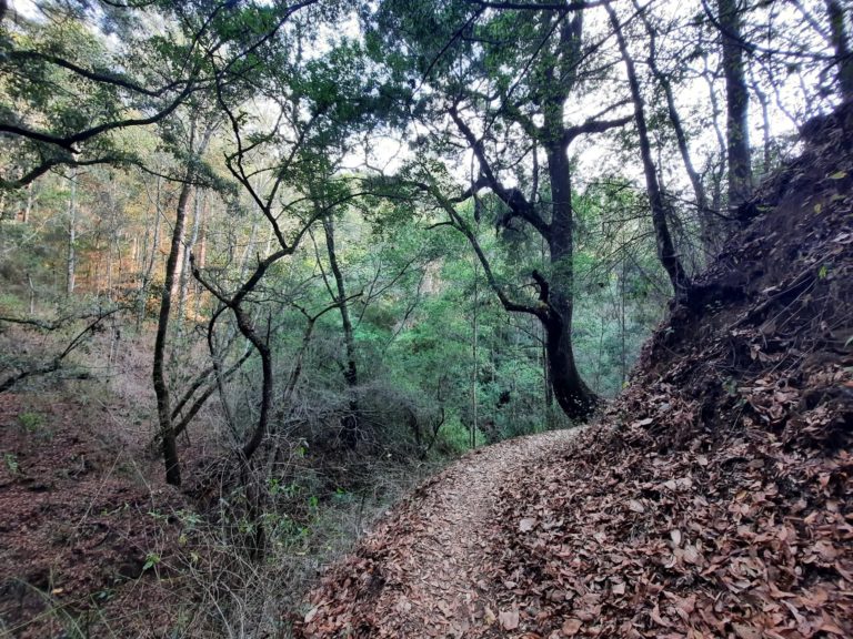 San-Sebastián-Río-mexico