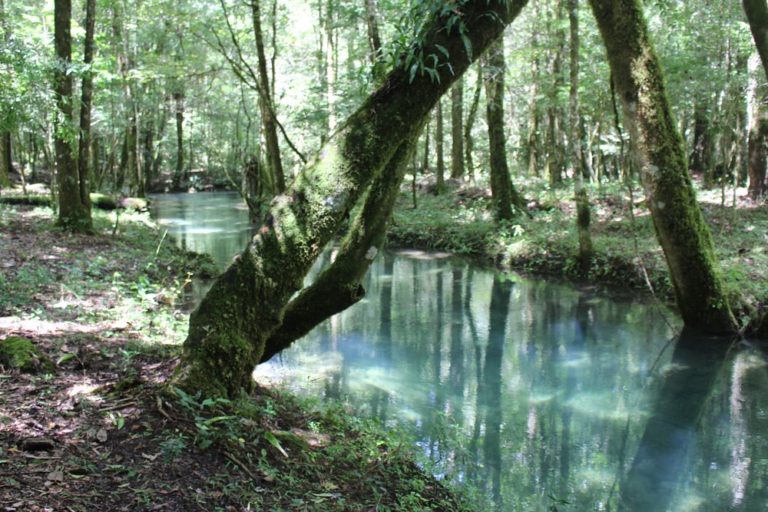 San-jose-reserva-de-manantial