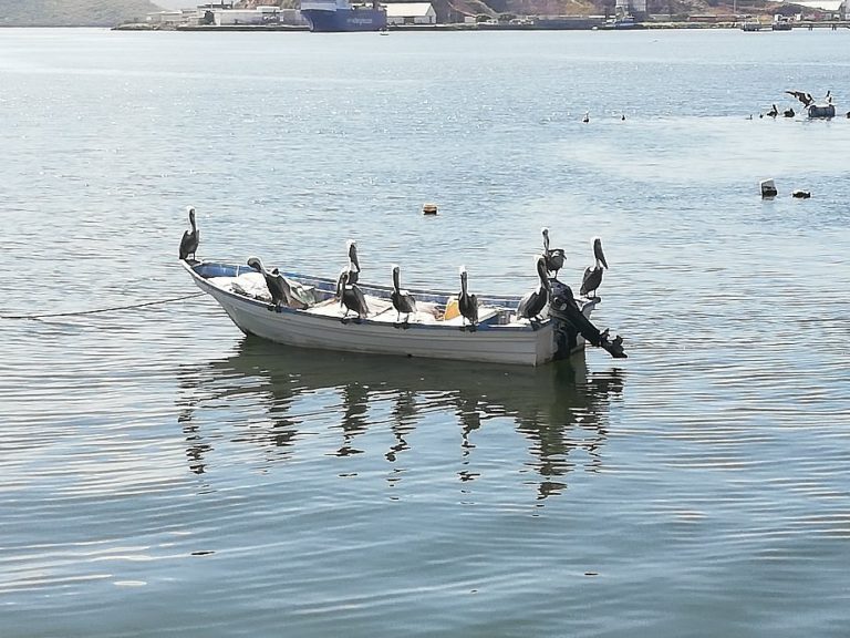 Topolobampo-mx-turismo-aventuras