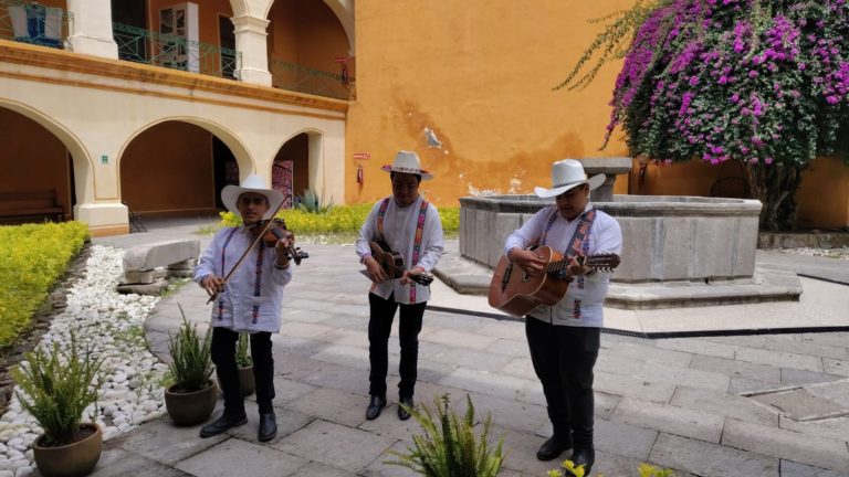 WhatsApp Image 2025-09-08 at 12.57.27 PM_11zon