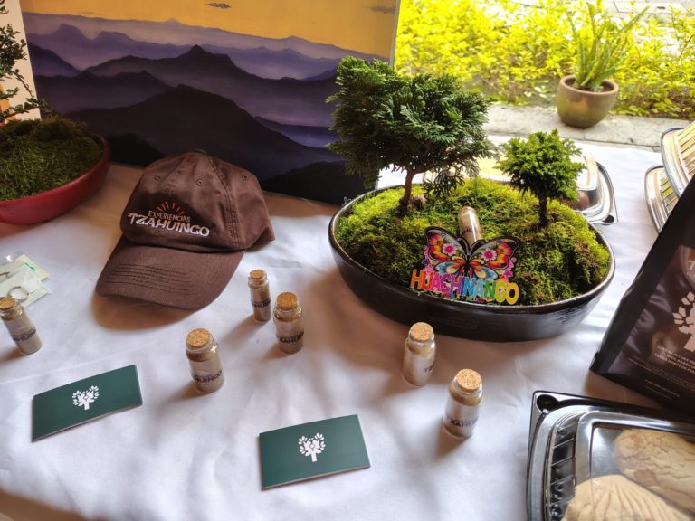 WhatsApp Image 2025-09-08 at 12.57.36 PM_11zon