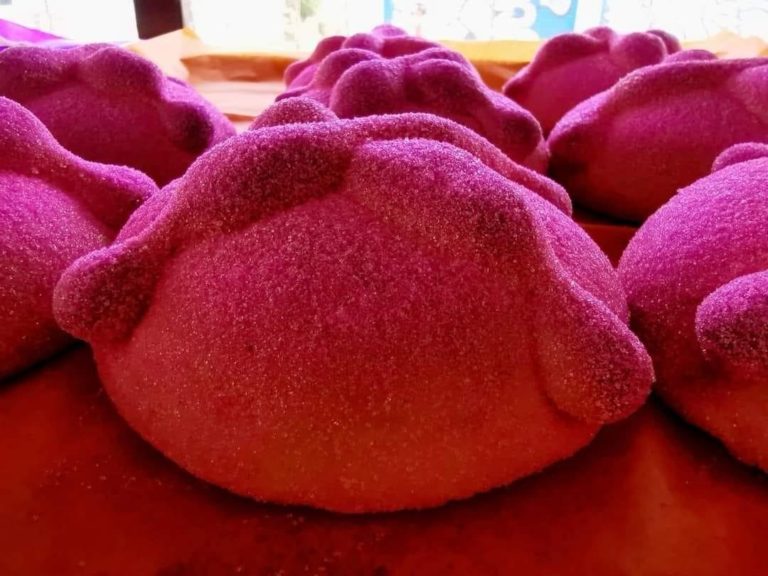 WhatsApp Image 2025-09-11 at 9.02.45 AM_11zon