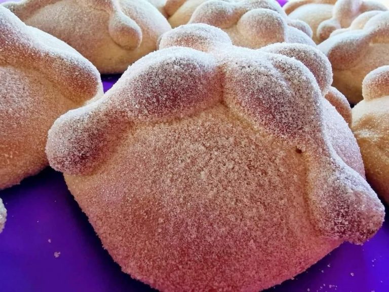 Festival del Café y Pan de Muerto en el corazón de CDMX