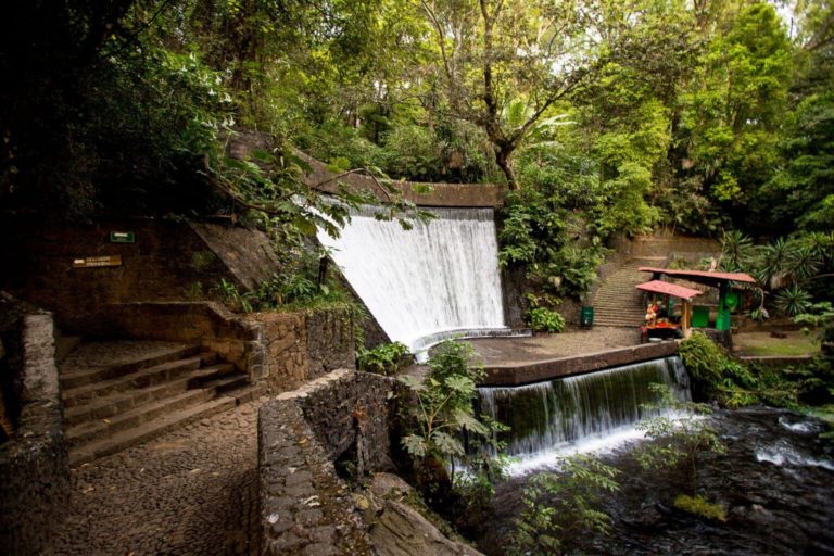 actividades-naturaleza-parques-en-michoacán