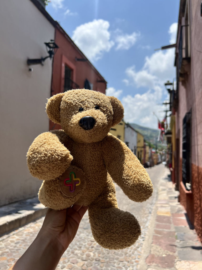 aee764c2-san_miguel_de_allende_07-esp-1000×1333