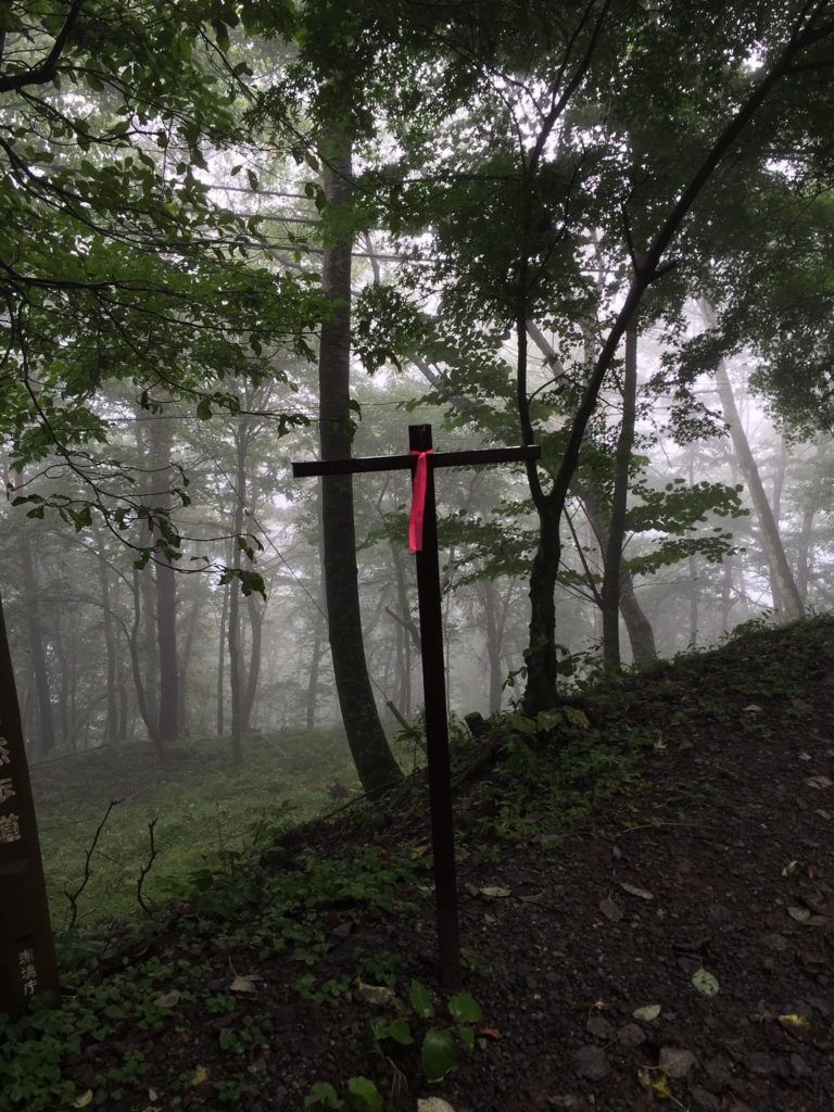 aokigahara-bosque-japon-turismo