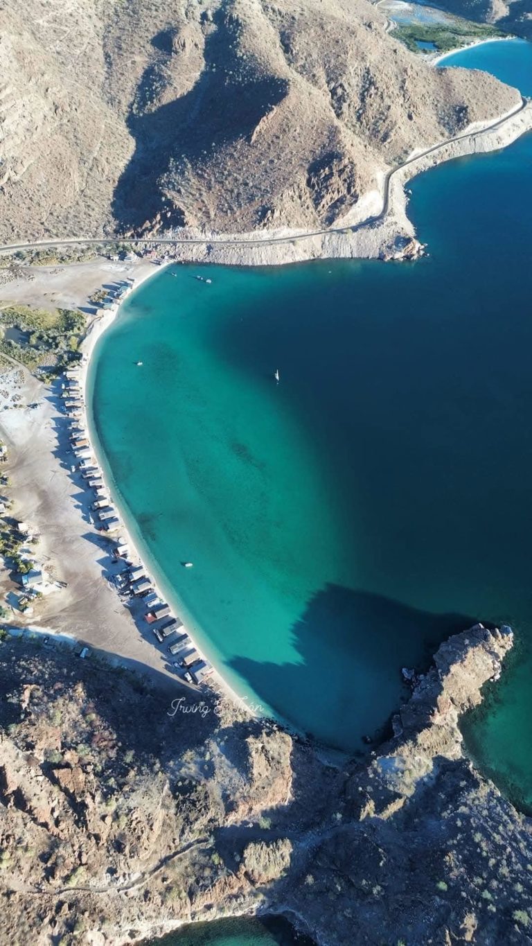 baja-california-sur-ballena-pechelada
