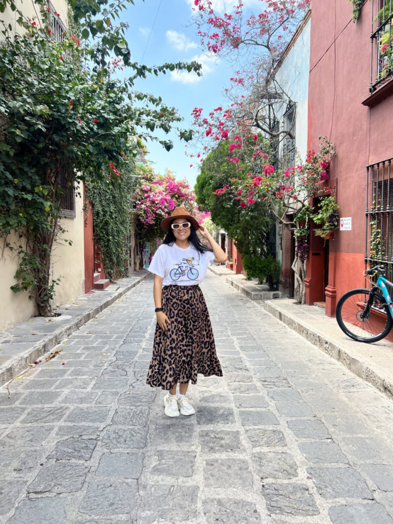 bd1a2e78-san_miguel_de_allende_02-esp-1000×1333