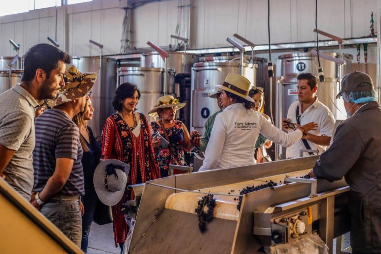 campo-real-ruta-secreta-zacatecana