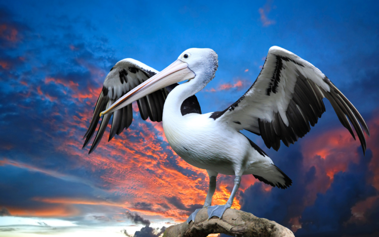 Lugares poco conocidos en Sinaloa que parecen sacados de un cuento