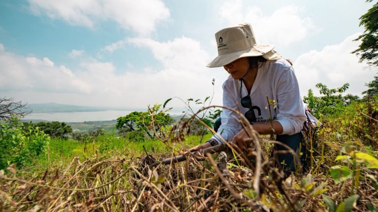 cuidado-del-medio-ambiente-reforestacion