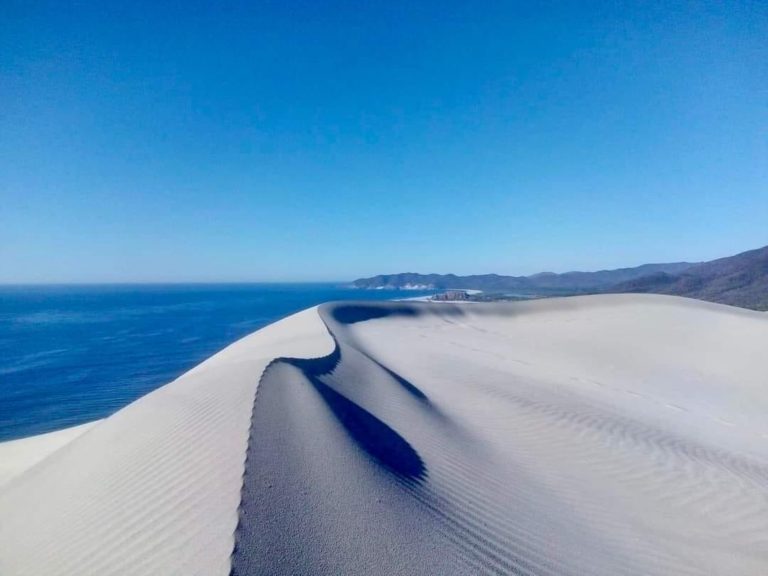 dunas-playa-en-mexico-turismo