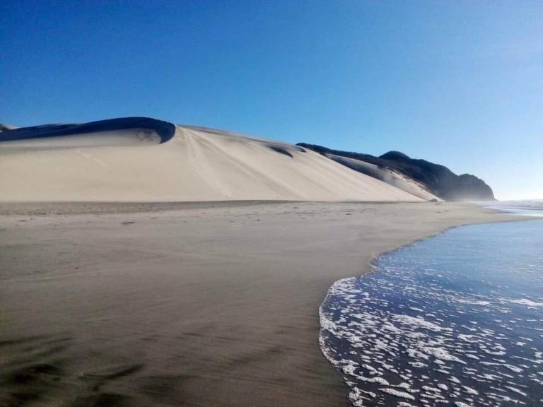 dunas-playa-en-mx-turismo