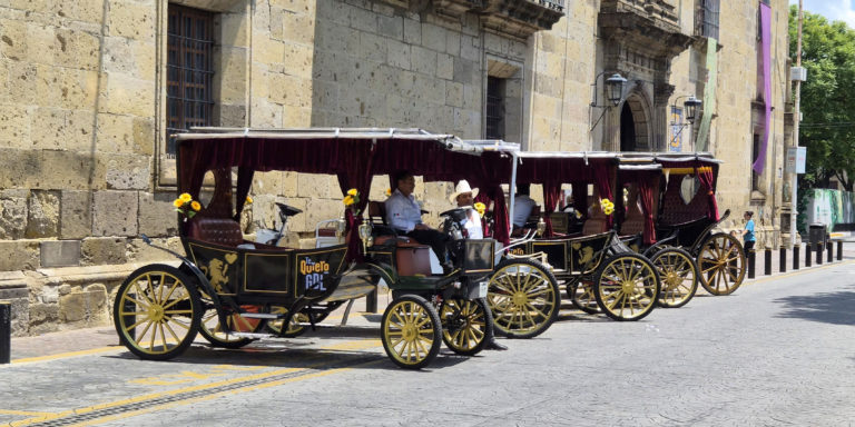 guadalajara-perla-tapatía-jalisco-calandrias