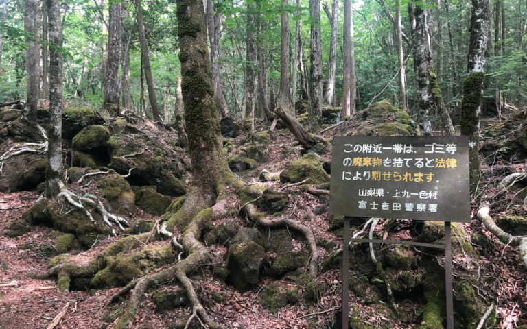 Bosque de Aokigahara, el lado oscuro de Japón