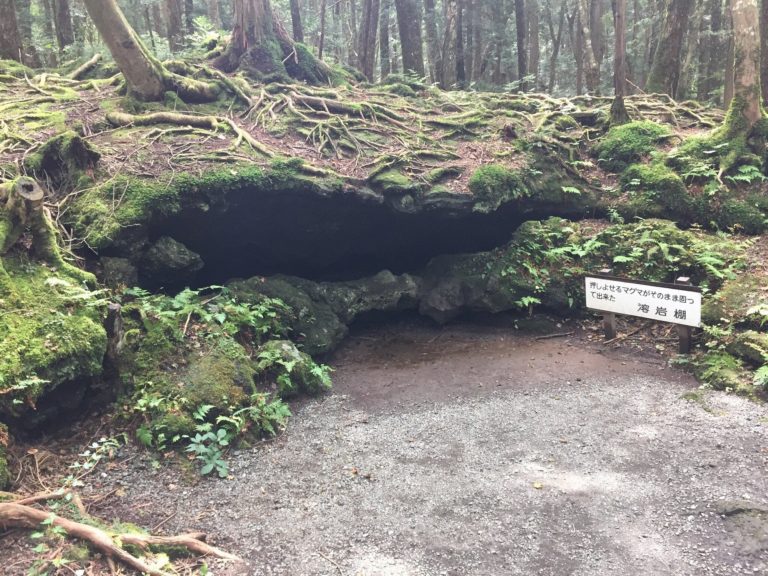 japon-turismo-de-aventuras-bosque