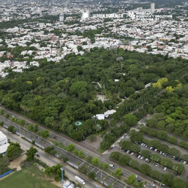 jardin-botanico-qué-hacer-en-culiacán