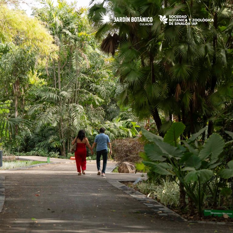 jardin-qué-hacer-en-culiacán-botanico