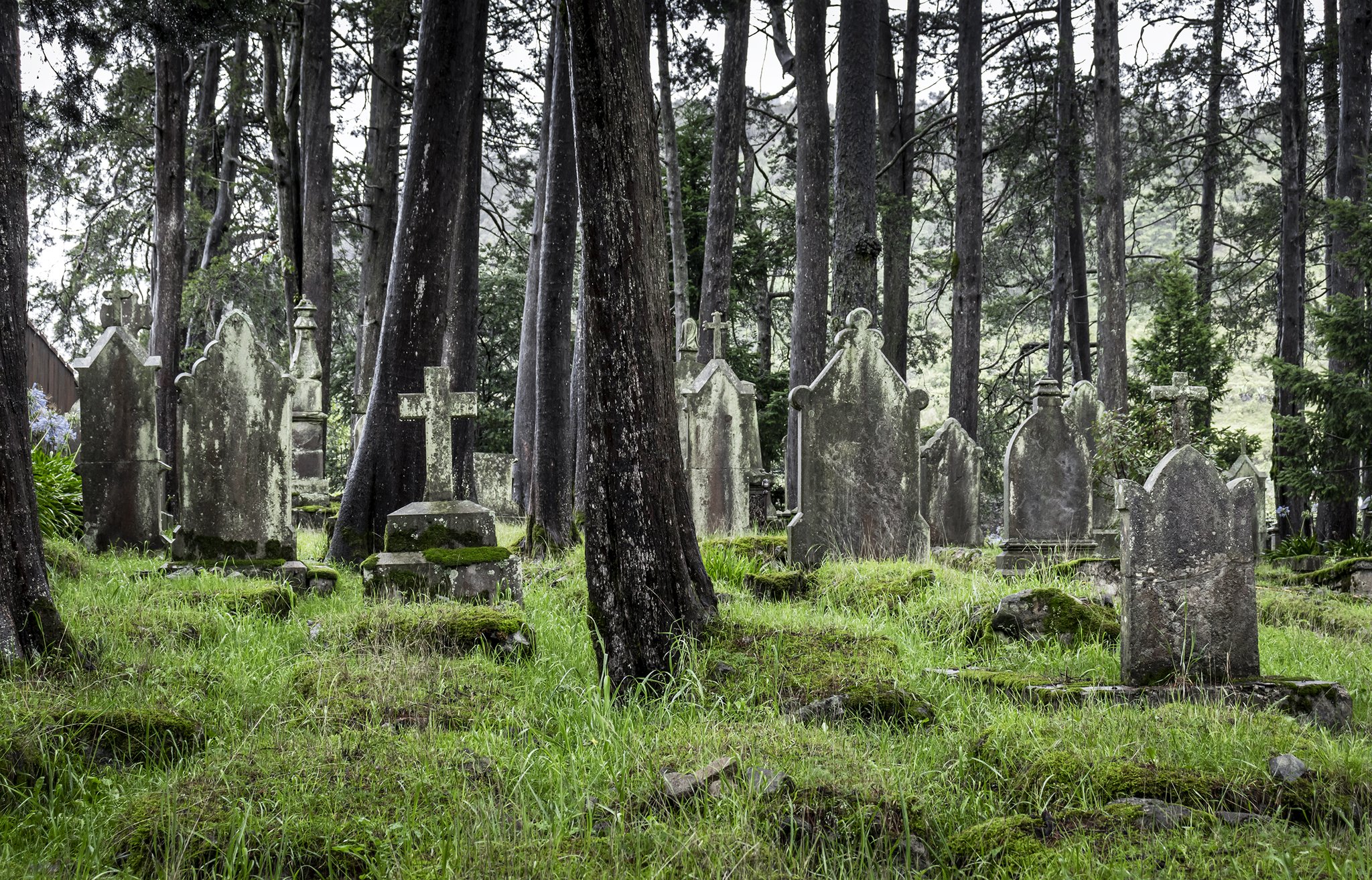 leyendas del panteón inglés hidalgo