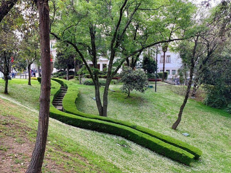 los-pinos-mexico-turismo-aventura