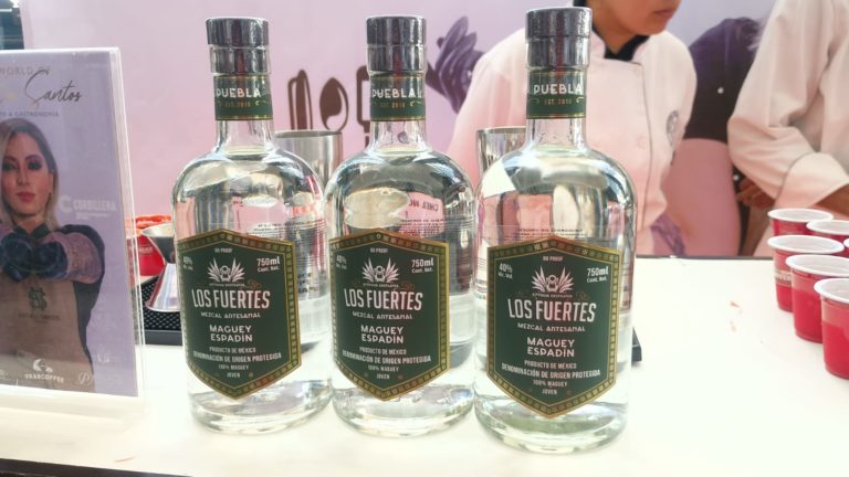 mezcal-gastronomic-turismo-cerveza