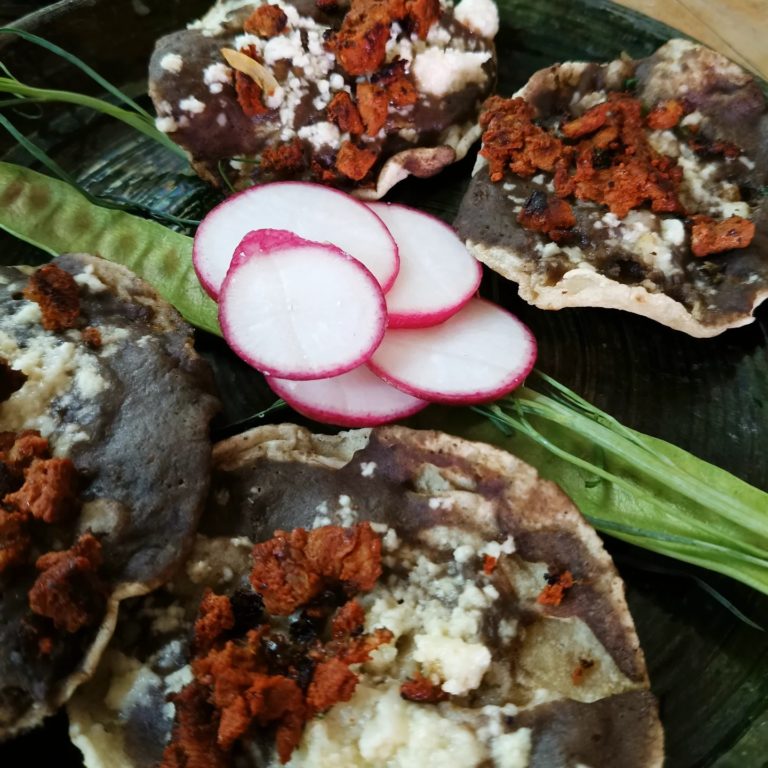 mezcal-mex-Comixcal-turismo