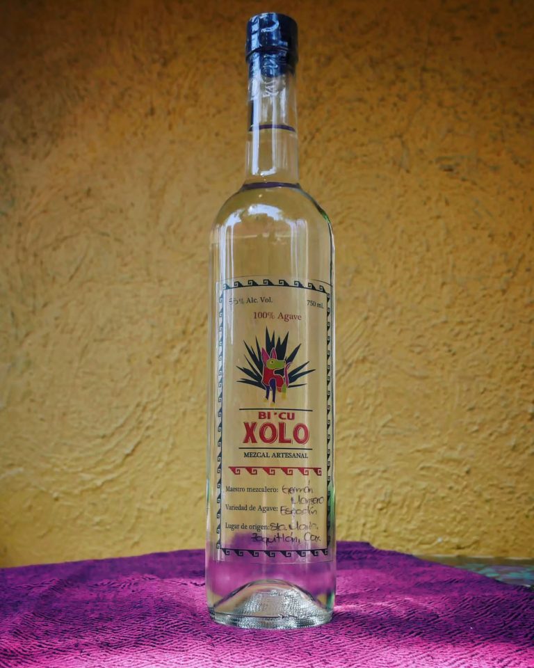 mezcal-mexico-Comixcal-turismo