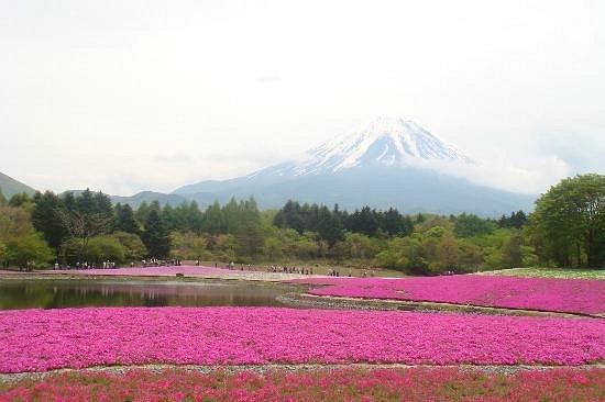 monte-fuji-turismo-de-aventuras-japon
