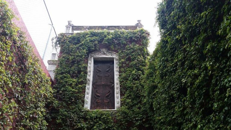 Casa de Tía Aura: la leyenda más oscura de Guanajuato