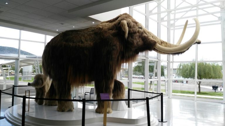 museo-de-mexico-turismo