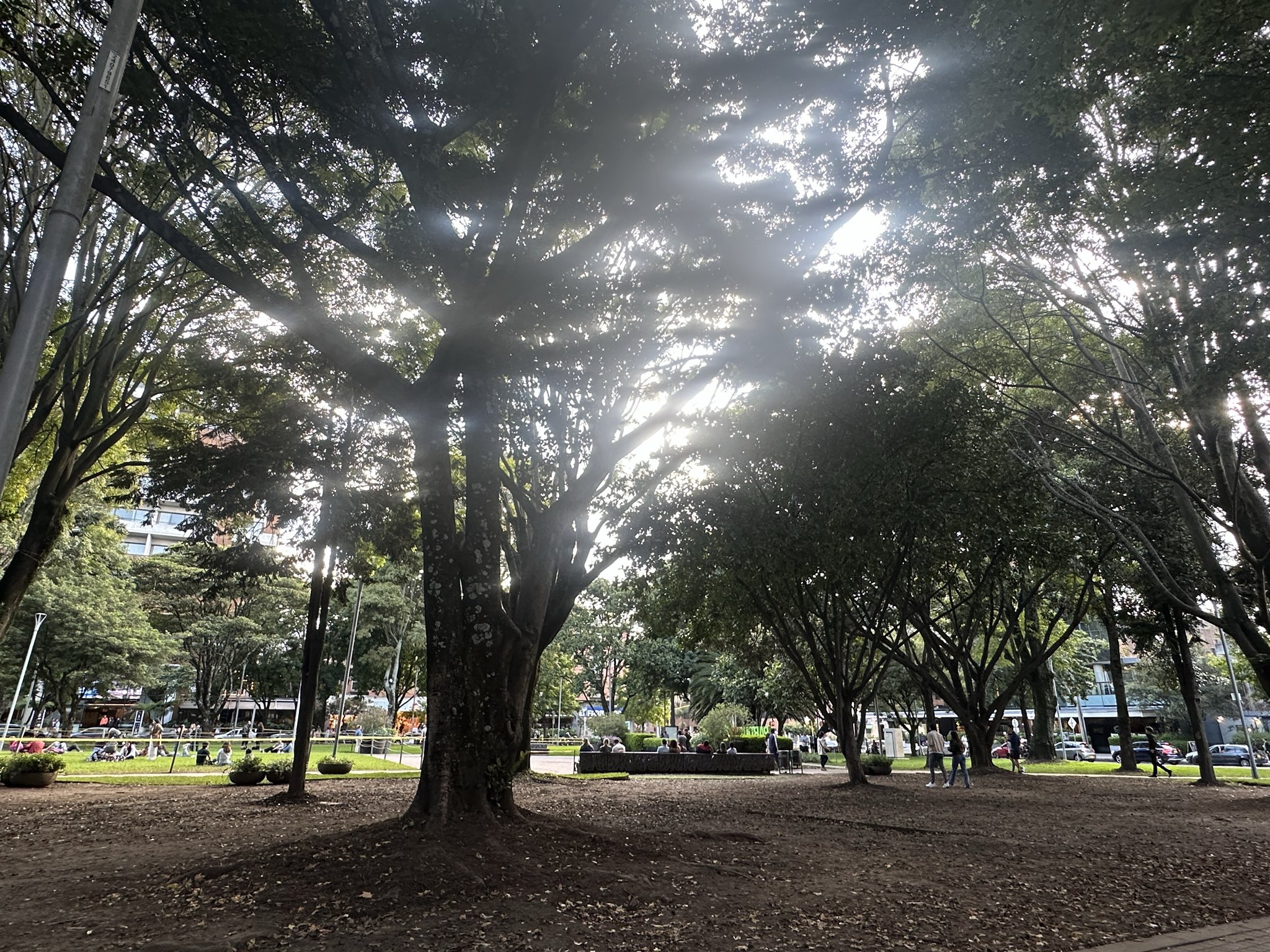 parque 93 bogotá colombia que hacer