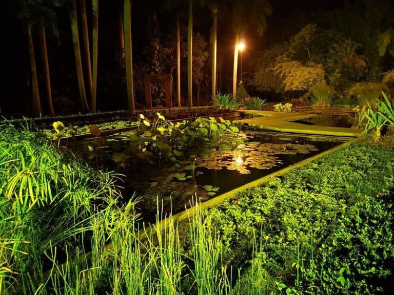 parque-de-las-riberas-mx