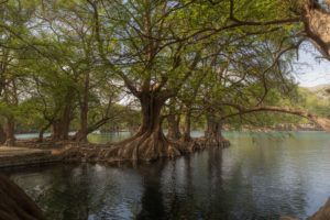 parques en michoacán naturaleza actividades