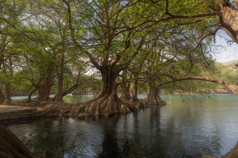 2 parques en Michoacán que debes visitar este año