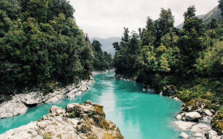 ¿Sabías que este bosque en Jalisco protege el agua?