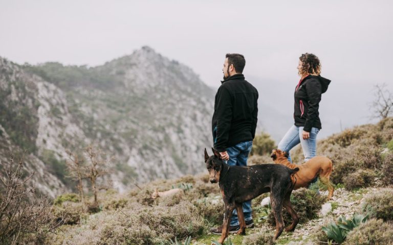 Dónde hacer senderismo pet-friendly en Oaxaca