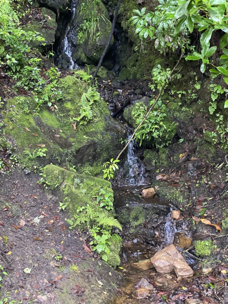 sendero-de-juarez-mex-turismo