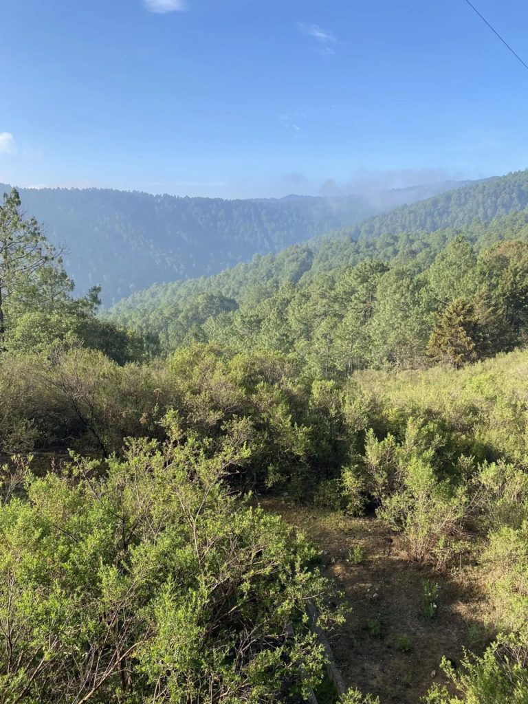 sendero-de-juarez-mexico-turismo