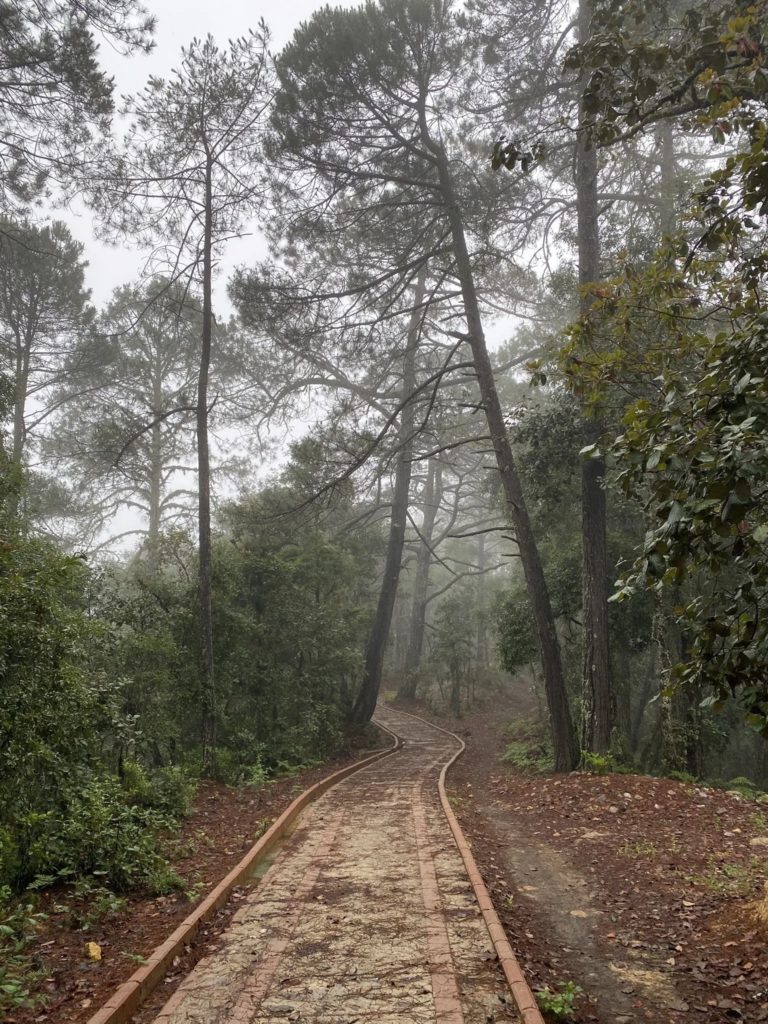 sendero-de-juarez-mx-turismo