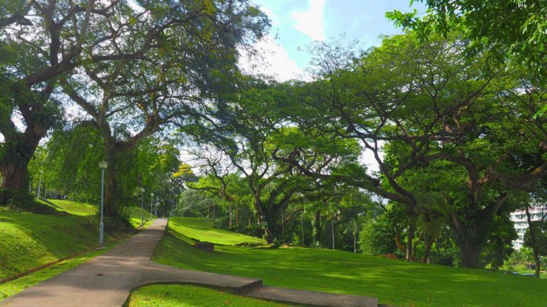 singapur-turismo-internacional-viajes