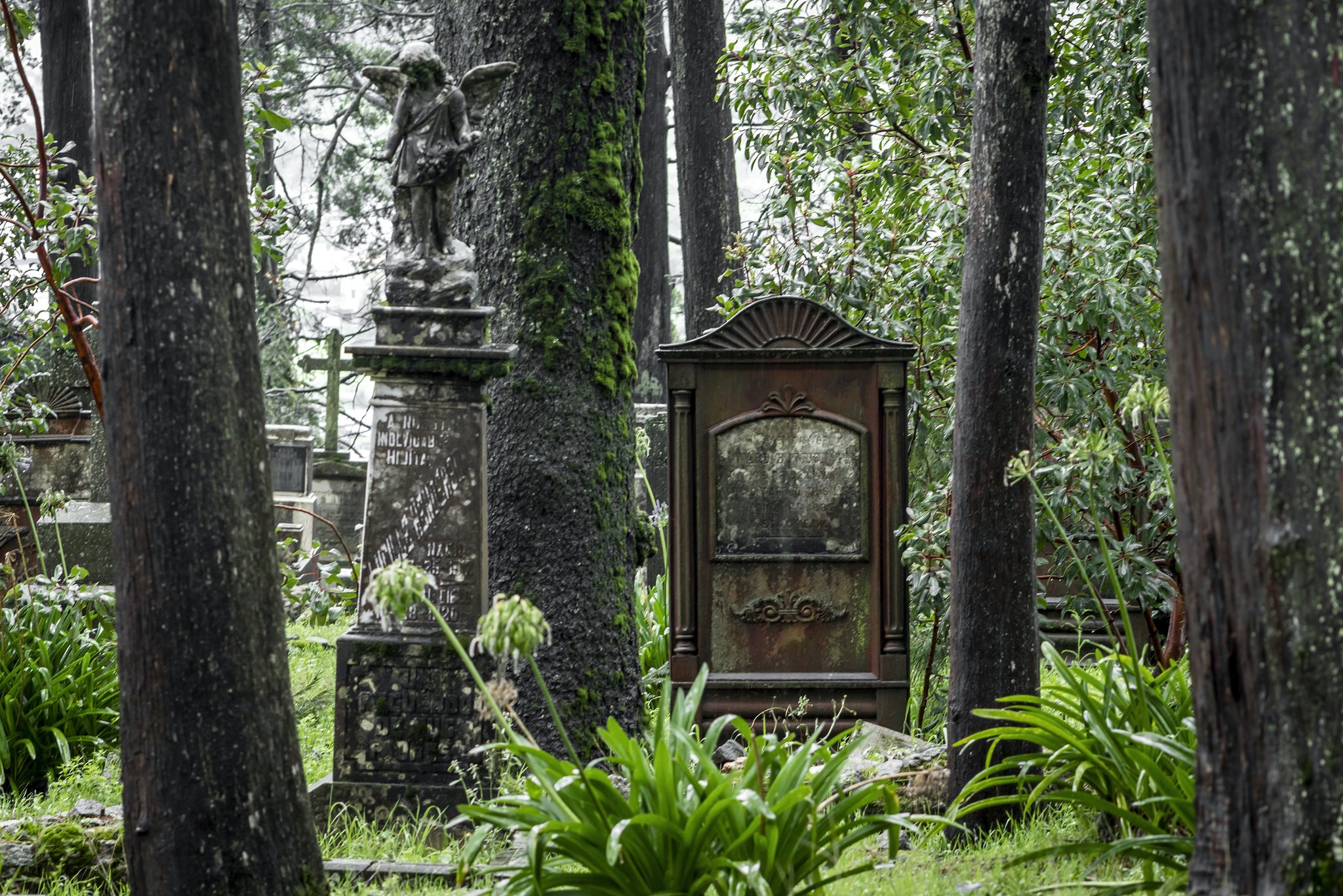 tumbas del panteón inglés hidalgo