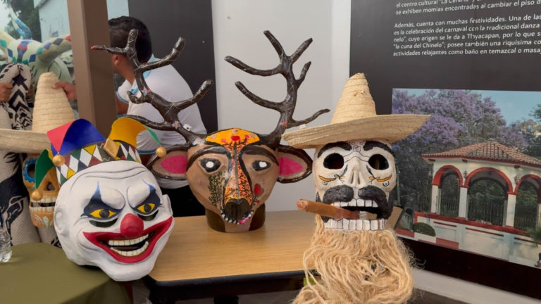 La Mojiganga 2025 llena de color y tradición a Temoac