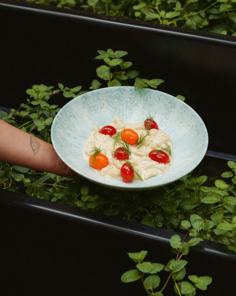 vaiven-gastronomico-comida-puebla