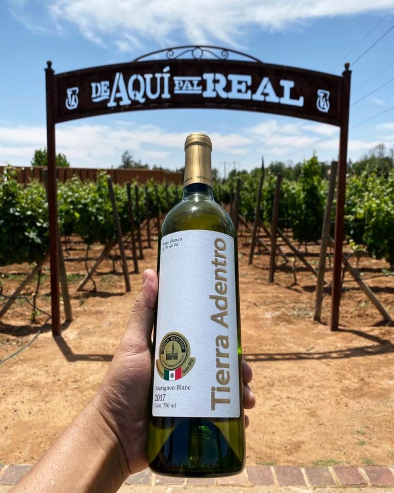 vino-campo-real-ruta-secreta-zacatecana