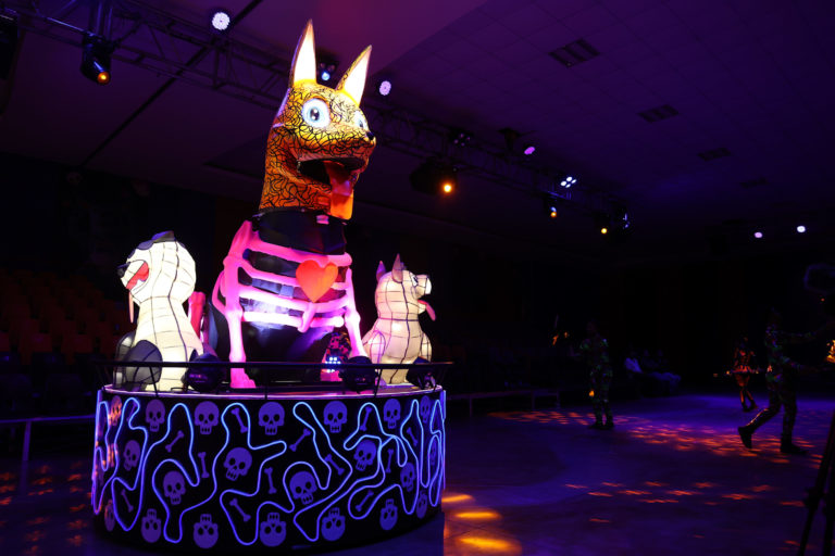 30092025DPcatrinia-09