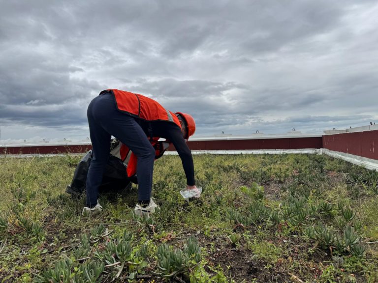Congreso del Estado pendiente de afectaciones por lluvias